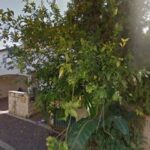 951d4dff3c22e9fcc4a2707009f45ea8 30