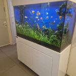 AC9h4nqMjc4k81tv9hlET45zq9G pwOwpDHimIZfgIbJs8STvbveDrBu1J3dYSN0ZbpAvl miS8AHCh3Ult9lrNkMaC0DvMFkP5DBHdbo0tqGPbSU5kXHn5LAbouc7RS4C4D6QiS4ptww408 h544 k no