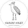 shahaf kalef